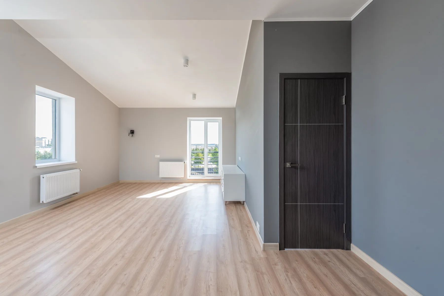 Modern dark door and wall panel